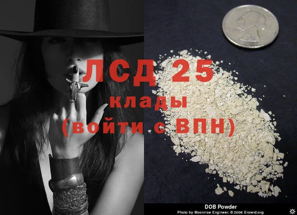 ГАЛЛЮЦИНОГЕННЫЕ ГРИБЫ Елизово