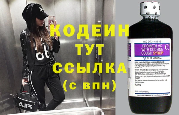 ПСИЛОЦИБИНОВЫЕ ГРИБЫ Туринск